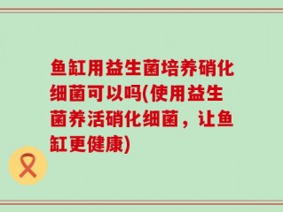 鱼缸用益生菌培养硝化细菌可以吗(使用益生菌养活硝化细菌，让鱼缸更健康)