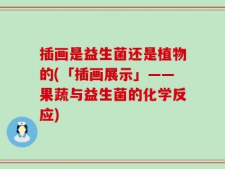 插画是益生菌还是植物的(「插画展示」——果蔬与益生菌的化学反应)