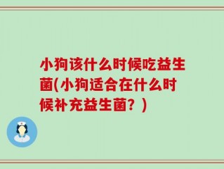 小狗该什么时候吃益生菌(小狗适合在什么时候补充益生菌？)