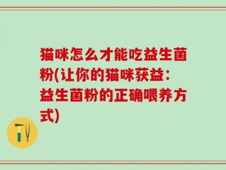 猫咪怎么才能吃益生菌粉(让你的猫咪获益：益生菌粉的正确喂养方式)