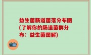 益生菌肠道菌落分布图(了解你的肠道菌群分布：益生菌图解)