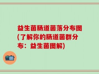 益生菌肠道菌落分布图(了解你的肠道菌群分布：益生菌图解)