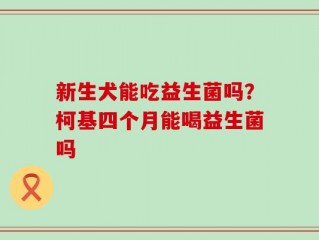 新生犬能吃益生菌吗？柯基四个月能喝益生菌吗