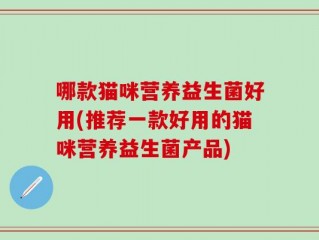 哪款猫咪营养益生菌好用(推荐一款好用的猫咪营养益生菌产品)