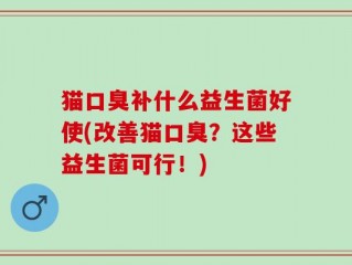猫口臭补什么益生菌好使(改善猫口臭？这些益生菌可行！)