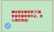猫吃益生菌呛到了(猫食益生菌呛咳不止，主人慌忙救治)