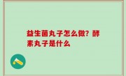 益生菌丸子怎么做？酵素丸子是什么