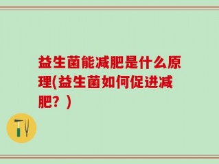 益生菌能减肥是什么原理(益生菌如何促进减肥？)