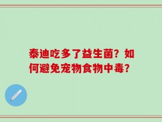 泰迪吃多了益生菌？如何避免宠物食物中毒？