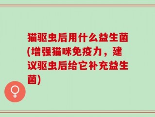 猫驱虫后用什么益生菌(增强猫咪免疫力，建议驱虫后给它补充益生菌)
