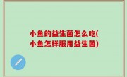 小鱼的益生菌怎么吃(小鱼怎样服用益生菌)
