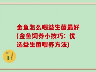 金鱼怎么喂益生菌最好(金鱼饲养小技巧：优选益生菌喂养方法)