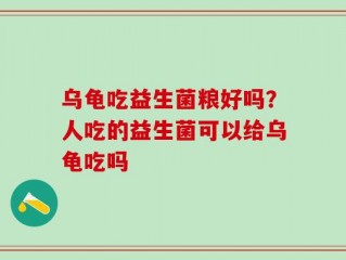 乌龟吃益生菌粮好吗？人吃的益生菌可以给乌龟吃吗