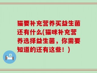 猫要补充营养买益生菌还有什么(猫咪补充营养选择益生菌，你需要知道的还有这些！)