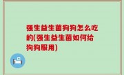 强生益生菌狗狗怎么吃的(强生益生菌如何给狗狗服用)