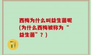 西梅为什么叫益生菌呢(为什么西梅被称为“益生菌”？)