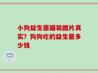 小狗益生菌罐装图片真实？狗狗吃的益生菌多少钱