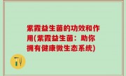 紫霞益生菌的功效和作用(紫霞益生菌：助你拥有健康微生态系统)