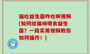 猫吃益生菌咋吃啊视频(如何给猫咪喂食益生菌？一段实用视频教你如何操作！)