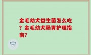 金毛幼犬益生菌怎么吃？金毛幼犬肠胃护理指南？