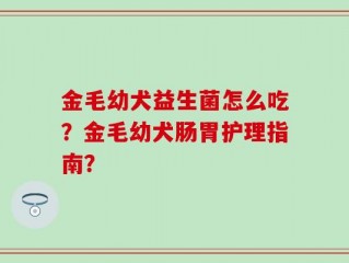 金毛幼犬益生菌怎么吃？金毛幼犬肠胃护理指南？