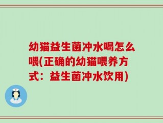 幼猫益生菌冲水喝怎么喂(正确的幼猫喂养方式：益生菌冲水饮用)