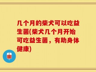 几个月的柴犬可以吃益生菌(柴犬几个月开始可吃益生菌，有助身体健康)
