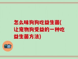 怎么味狗狗吃益生菌(让宠物狗受益的一种吃益生菌方法)