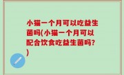 小猫一个月可以吃益生菌吗(小猫一个月可以配合饮食吃益生菌吗？)