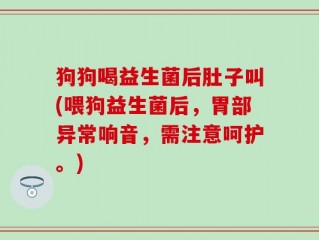 狗狗喝益生菌后肚子叫(喂狗益生菌后，胃部异常响音，需注意呵护。)