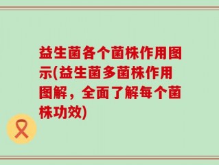 益生菌各个菌株作用图示(益生菌多菌株作用图解，全面了解每个菌株功效)