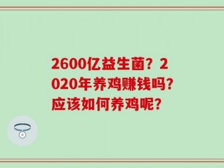 2600亿益生菌？2020年养鸡赚钱吗？应该如何养鸡呢？