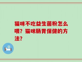 猫咪不吃益生菌粉怎么喂？猫咪肠胃保健的方法？