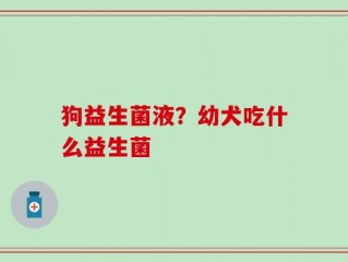 狗益生菌液？幼犬吃什么益生菌
