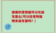 健康的宠物猫可以吃益生菌么(可以给宠物猫喂食益生菌吗？)