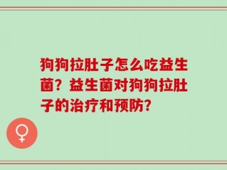 狗狗拉肚子怎么吃益生菌？益生菌对狗狗拉肚子的治疗和预防？