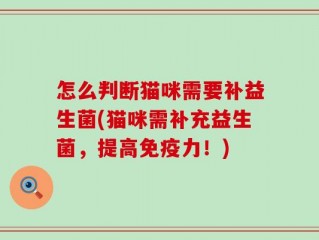怎么判断猫咪需要补益生菌(猫咪需补充益生菌，提高免疫力！)