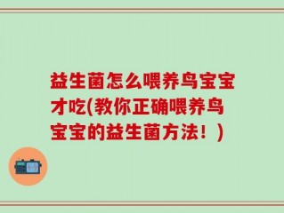 益生菌怎么喂养鸟宝宝才吃(教你正确喂养鸟宝宝的益生菌方法！)