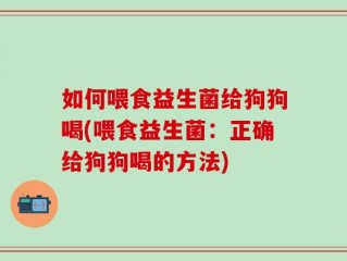 如何喂食益生菌给狗狗喝(喂食益生菌：正确给狗狗喝的方法)