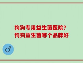 狗狗专用益生菌医院？狗狗益生菌哪个品牌好