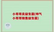 小哥哥卖益生菌(帅气小哥哥销售益生菌)
