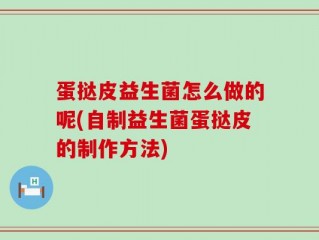 蛋挞皮益生菌怎么做的呢(自制益生菌蛋挞皮的制作方法)