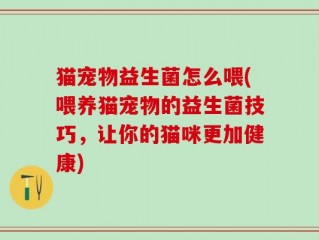 猫宠物益生菌怎么喂(喂养猫宠物的益生菌技巧，让你的猫咪更加健康)