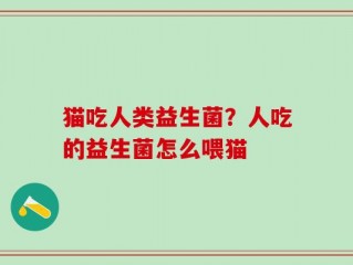 猫吃人类益生菌？人吃的益生菌怎么喂猫
