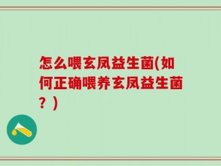 怎么喂玄凤益生菌(如何正确喂养玄凤益生菌？)