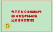 宠花花布拉迪酵母益生菌(宠爱你的小肠道 还原健康微生态)