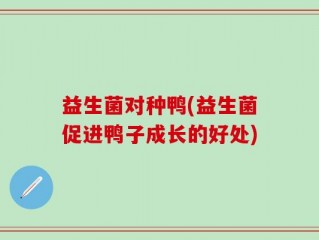 益生菌对种鸭(益生菌促进鸭子成长的好处)
