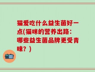 猫爱吃什么益生菌好一点(猫咪的营养出路：哪些益生菌品牌更受青睐？)