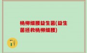 杨柳细腰益生菌(益生菌拯救杨柳细腰)