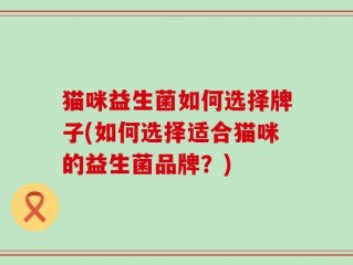 猫咪益生菌如何选择牌子(如何选择适合猫咪的益生菌品牌？)